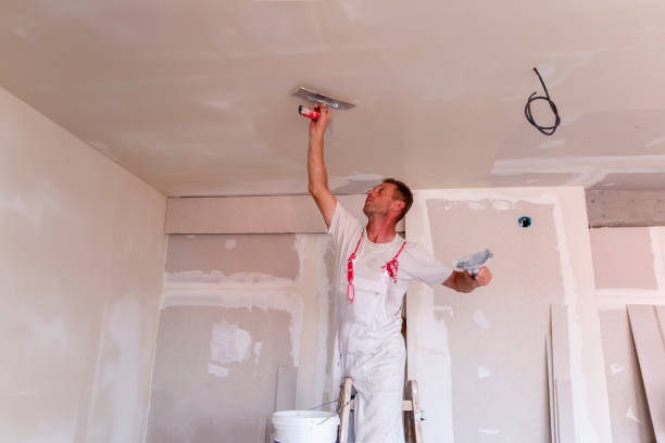 Best Drywall for New Construction  in Columbus, WI